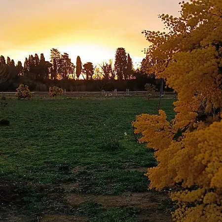 Le Clos Des Mimosas Béziers