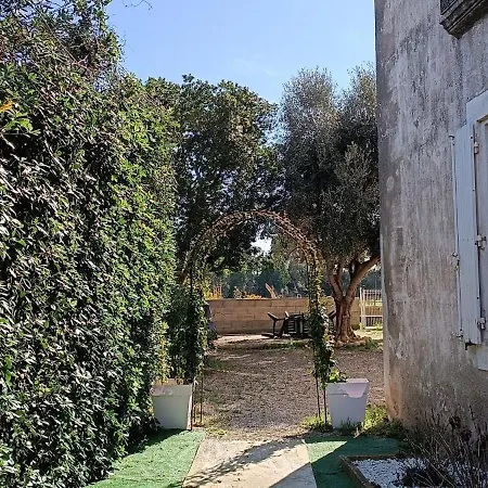 Le Clos Des Mimosas *